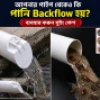 4" Swing cap / Backflow